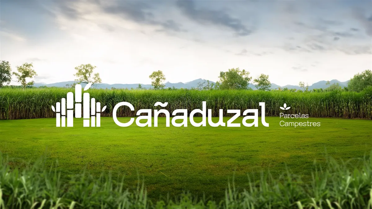 Cañaduzal