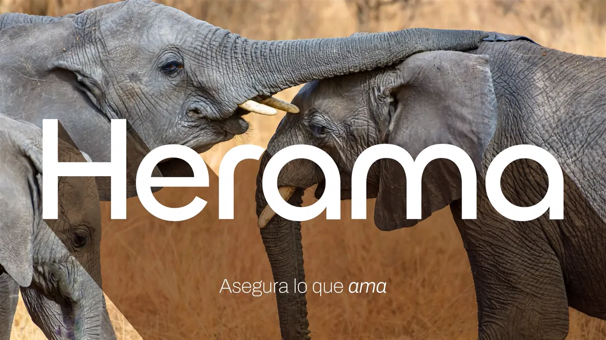 Herama
